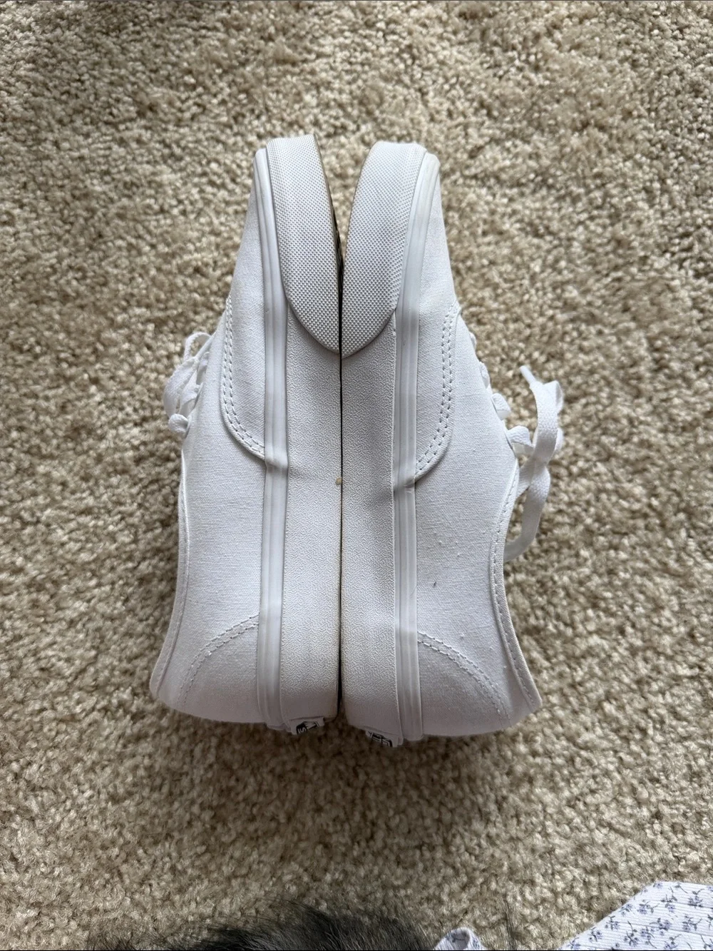 Vans White Low-Top Canvas Sneakers